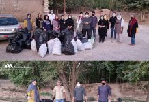 پاکسازی طبیعت شیراز، گروه آشتی با طبیعت – محمد امان زادگان – سمیه احمدی